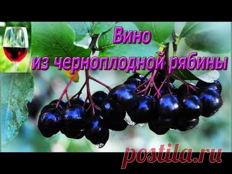 Вино из Черноплодной рябины. Вода.