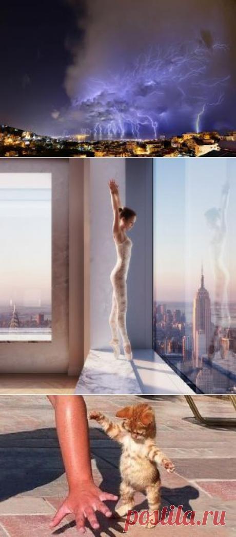 Лучшие фотографии месяца