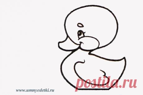 Картинка раскраска утенок