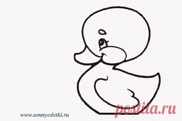 Картинка раскраска утенок