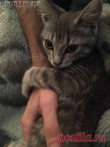 Моя прелесть