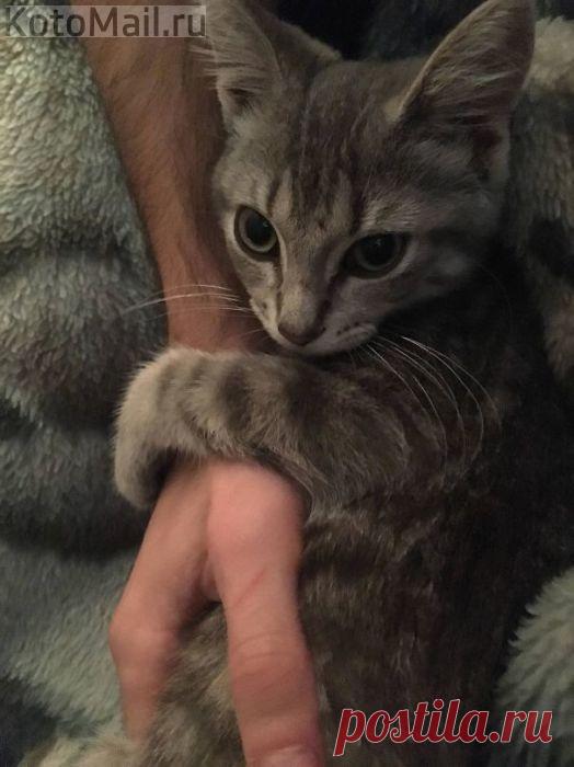 Моя прелесть