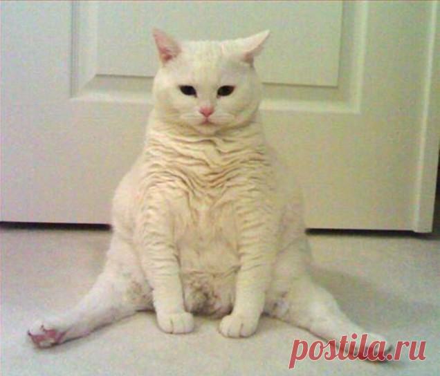 - Что сидим? Что думаем?
- Телефон сдох. На зарядке. Жду....