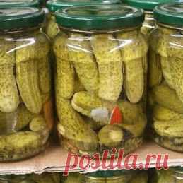 Популярное – Google+
