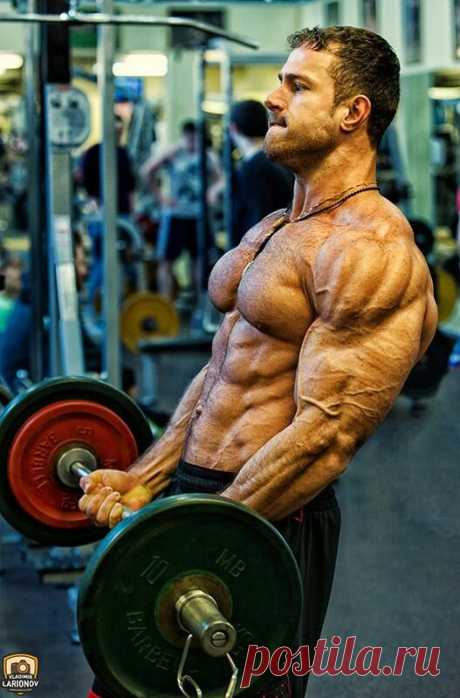 Найдено на сайте primecutsbodybuildingdvds.com.