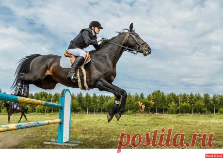 Фото: Конкур. Фотограф Сан Саныч. Спорт - Фотосайт Расфокус.ру