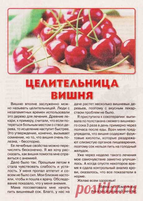 Целительница вишня