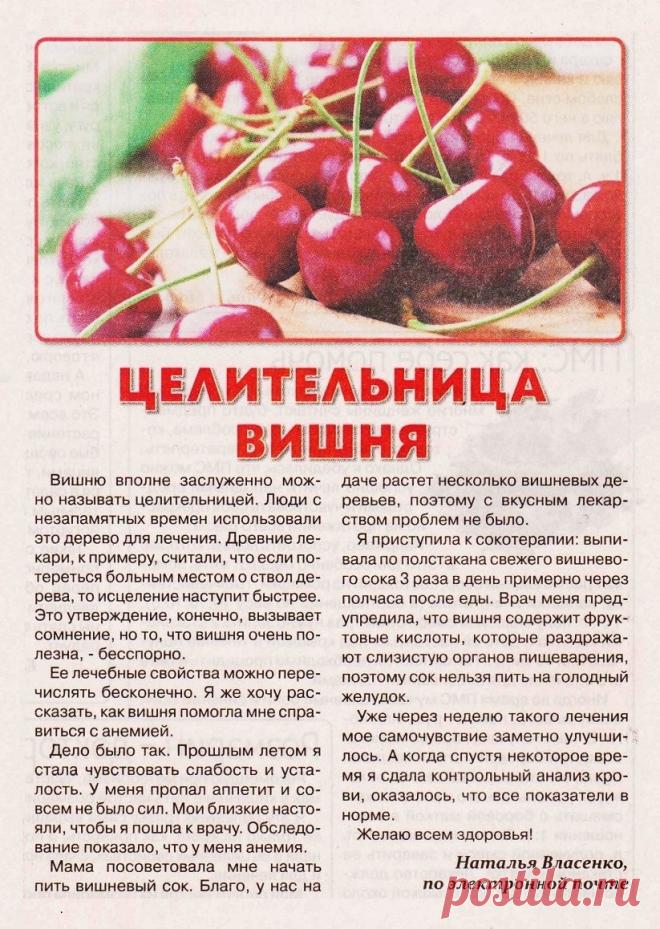 Целительница вишня