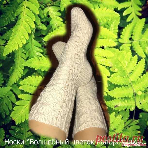 Носки 