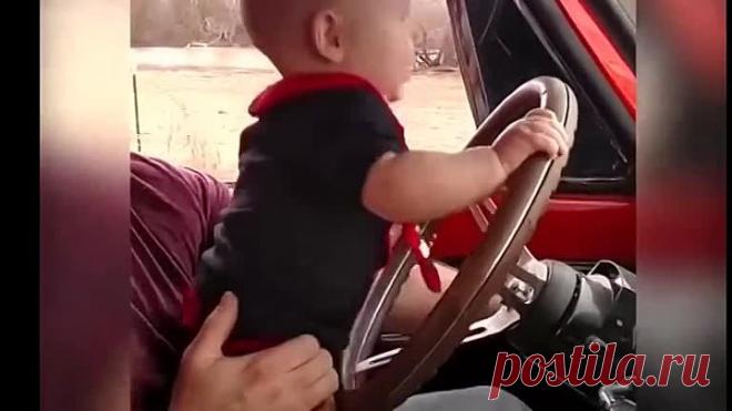 Лучшие Папы. Весёлая подборка!