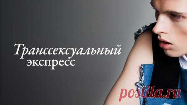 А если «не такой, как все» - это сын любимый, как быть тогда? Как исправить это без хирургического вмешательства? Все о мужском транссексуализме без купюр и ложного стеснения в статье "Транссексуальный экспресс"