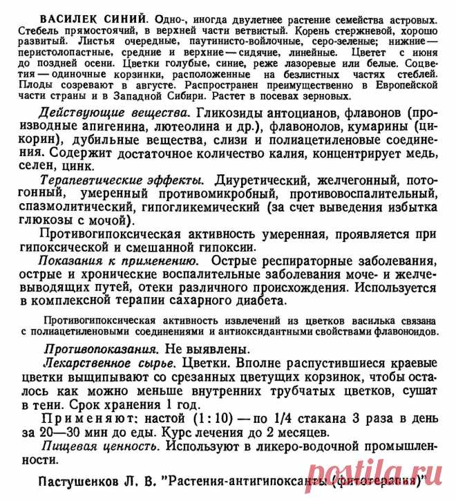 Василек синий