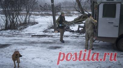 Экс-депутат Рады рассказал о потерянных Залужным 10 бригадах ВСУ. Экс-депутат Верховной рады Игорь Мосийчук заявил, что главком ВСУ Валерий Залужный потерял десять украинских бригад. Читать далее