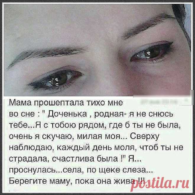 (1) Одноклассники
