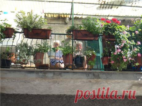 Лето,солнце,полуостров • forum.durdom.in.ua