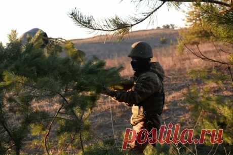 Артиллерийский расчет гаубицы Д-30 выбил пехоту ВСУ под Красным Лиманом. Солдаты Центрального военного округа провели огневой налет на опорный пункт украинской армии.