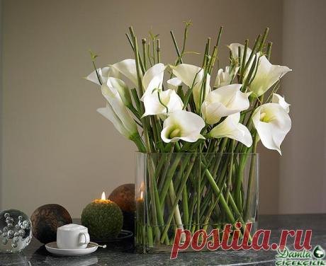 Редактировать описание