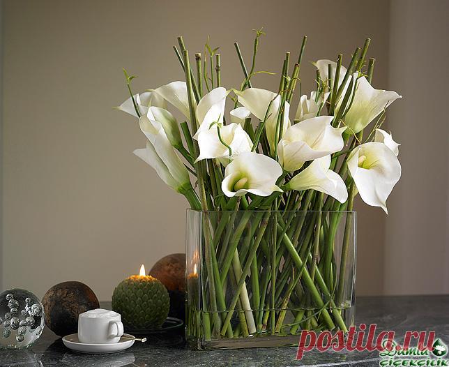 Редактировать описание