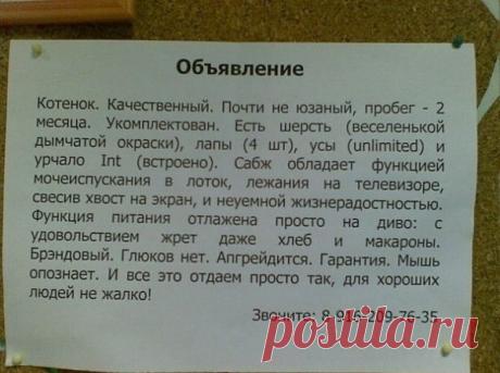 Интересное объявление