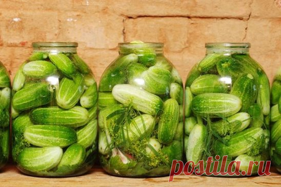НЕЗАБЫВАЕМЫЕ НА ВКУС ОГУРЧИКИ В ПРАЖСКОЙ ЗАЛИВКЕ
Во времена СССР за такими огурчиками приходилось перед праздниками отстаивать длинющую очередь.
Поэтому я занялась поиском рецепта, чтобы такие же сделать дома. Теперь - то ли потому, что изменилась заводская технология, то ли по иным причинам - купить огурчики, подобные тем, советским, негде. Но в нашей семье такие едят до сих пор.
И вот нашла еще один вариант горячего консервирования. Годится для огурцов, помидоров, молодых кабачков, ассорти и