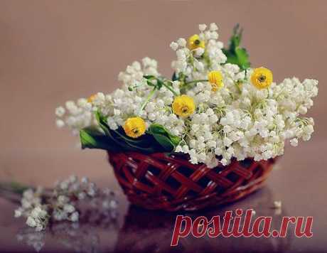 (43) Одноклассники