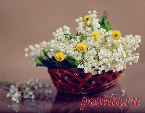 (43) Одноклассники