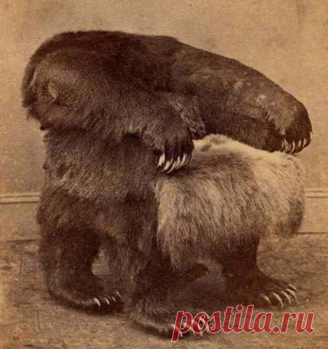 Президентское кресло Джонсона из медведя гризли, музей Белого дома, 1865 год. / Взлом логики