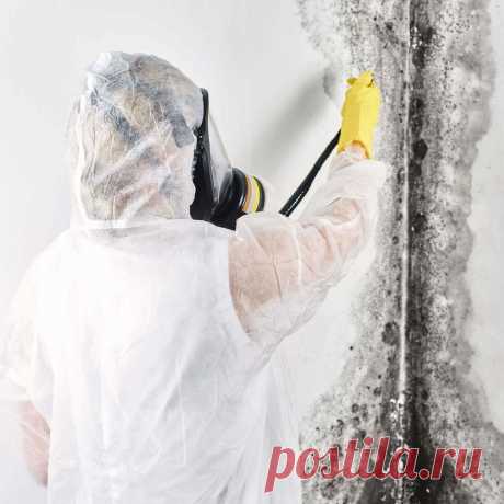 🧼 Клининговые услуги по уборке квартир, офисов, технических помещений
🔟 Большой опыт работ 🙇 Ответственность за порчу 💝 Приятные цены
🌍 Работаем по всей Москве и Московской области 📞 +7(969)022-34-60