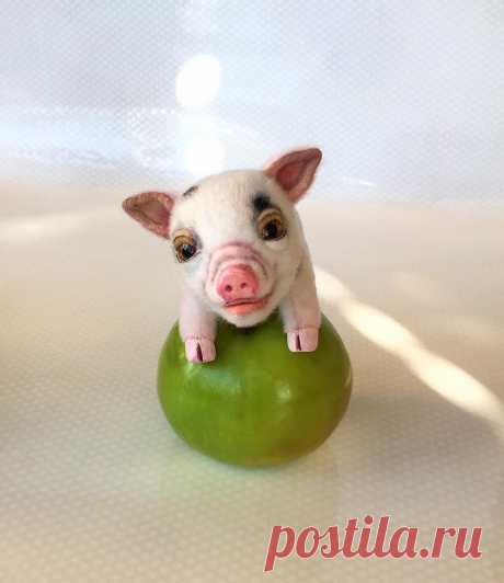 ❤️DOLLS_TOYS🐻❤️Elena Kirillova в Instagram: «👋🏻🌷 Love little piglets🐷🐽? 😊A very, very small mini Pig?  welcome to Etsy!  #piggy #toypiggie #softsculpture #minipig #miniminipig…» 187 отметок «Нравится», 1 комментариев — ❤️DOLLS_TOYS🐻❤️Elena Kirillova (@elena.kirillova_toyfriends_) в Instagram: «👋🏻🌷 Love little piglets🐷🐽? 😊A very, very small mini Pig?  welcome to Etsy!  #piggy #toypiggie…»
