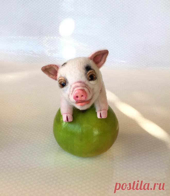 ❤️DOLLS_TOYS🐻❤️Elena Kirillova в Instagram: «👋🏻🌷 Love little piglets🐷🐽? 😊A very, very small mini Pig?  welcome to Etsy!  #piggy #toypiggie #softsculpture #minipig #miniminipig…» 187 отметок «Нравится», 1 комментариев — ❤️DOLLS_TOYS🐻❤️Elena Kirillova (@elena.kirillova_toyfriends_) в Instagram: «👋🏻🌷 Love little piglets🐷🐽? 😊A very, very small mini Pig?  welcome to Etsy!  #piggy #toypiggie…»