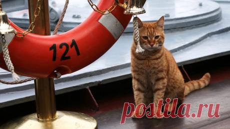 Секретное оружие России | Выживи сам