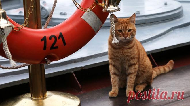 Секретное оружие России | Выживи сам