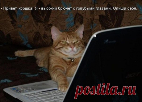 Мой Мир@Mail.Ru
