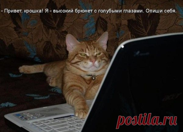 Мой Мир@Mail.Ru