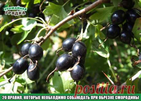 3 непрочитанных чата