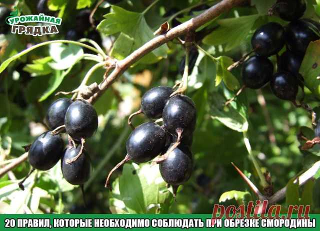 3 непрочитанных чата