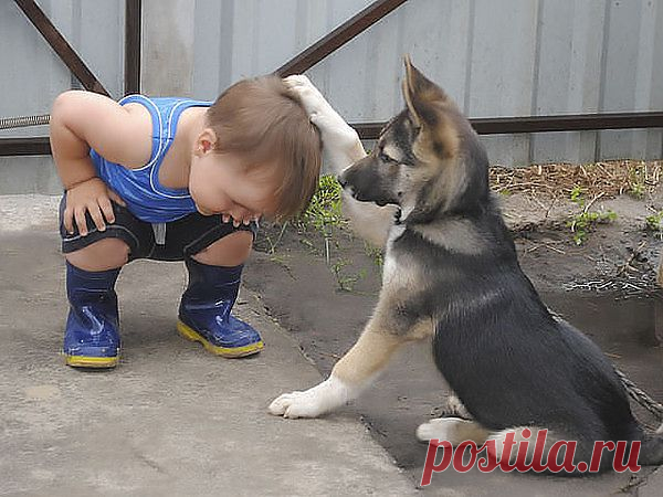 Вместе навсегда