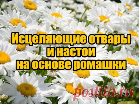 ИСЦЕЛЯЮЩИЕ ОТВАРЫ И НАСТОИ
НА ОСНОВЕ РОМАШКИ

Против стресса и бессонницы
Необходимо заварить стаканом кипятка из очищенной воды одну чайную ложечку сухоцвета лекарственной ромашки, накрыть ёмкость крышкой и подождать пять – десять минут. Готовый чай употребляют вечером перед сном с мёдом (не больше половины чайной ложечки). 

От метеоризма
Тщательно смешайте три части сухоцвета лекарственной ромашки с двумя частями измельчённых корешков валерианы и половиной частью тмина....