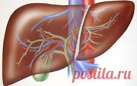 (+1) тема - Важные очистители печени | ВСЕГДА В ФОРМЕ! | лестницы
