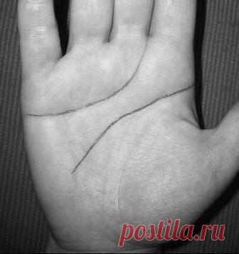 Читать книгу Коррекционная хиромантия. Нарисуй свою судьбу Бориса Акимова : онлайн чтение - страница 3