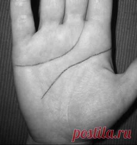 Читать книгу Коррекционная хиромантия. Нарисуй свою судьбу Бориса Акимова : онлайн чтение - страница 3