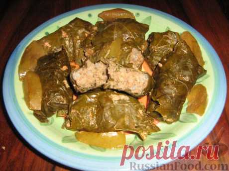 Рецепт: Долма (голубцы в виноградных листьях) на RussianFood.com
