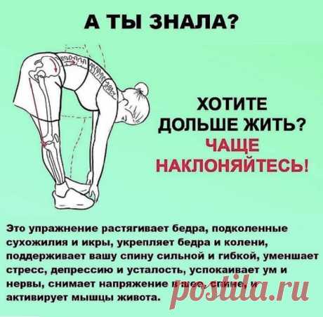 Чаще наклоняйтесь