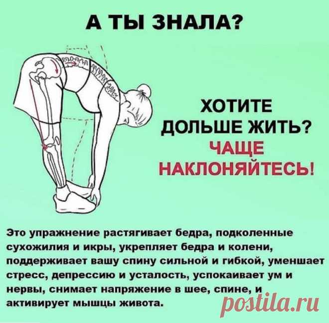 Чаще наклоняйтесь