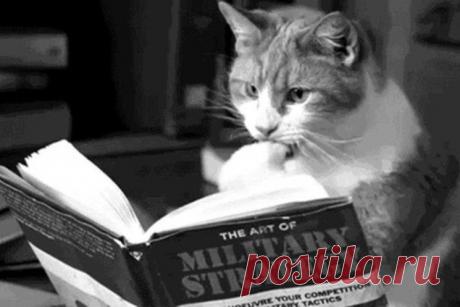 Как себя организовать, когда хобби превращается в работу