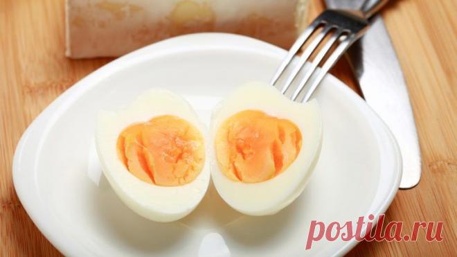 Плотный белковый завтрак спасает от ожирения / Будьте здоровы