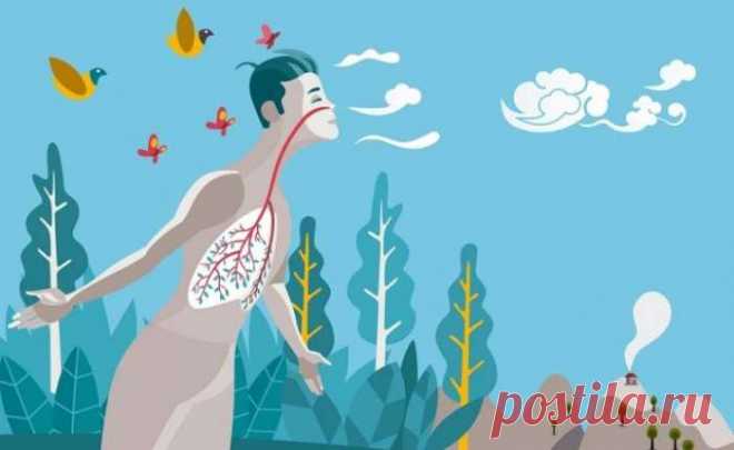 Как поднять уровень кислорода в крови во время сна — Женская страничка