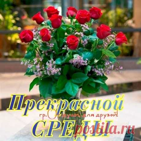 3a5d2694.jpg (600×600)