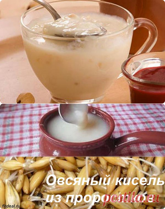 Овсяный кисель: готовим из зерна или хлопьев?