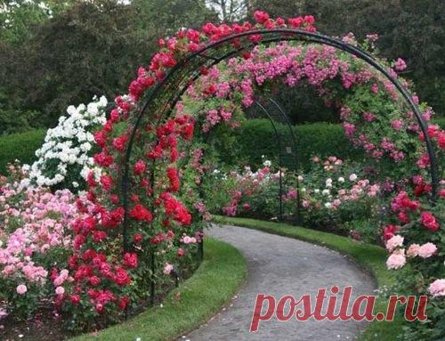 Мастер-классы | Домохозяйка - Part 2